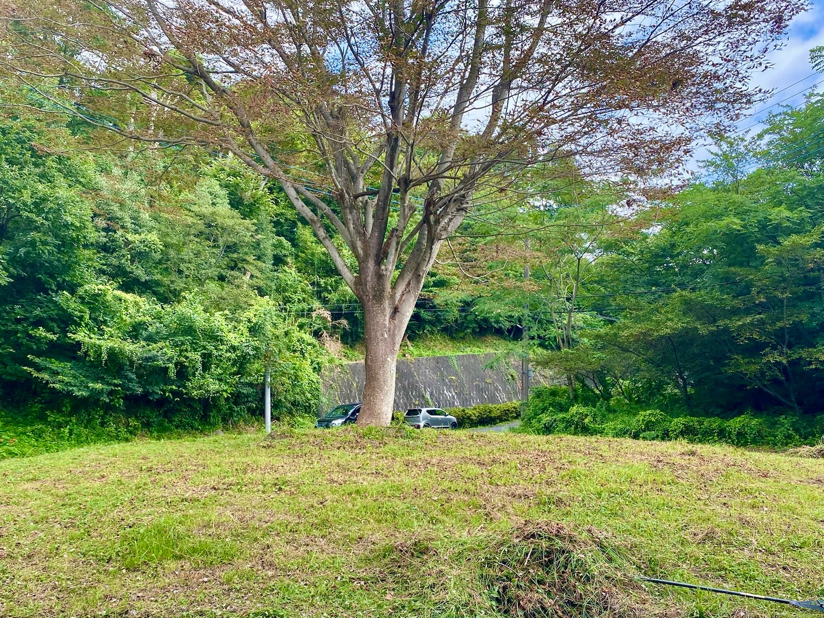 草刈り完了! Image
