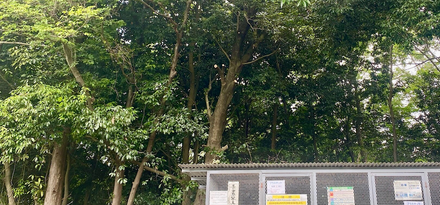 ゴミ集積所