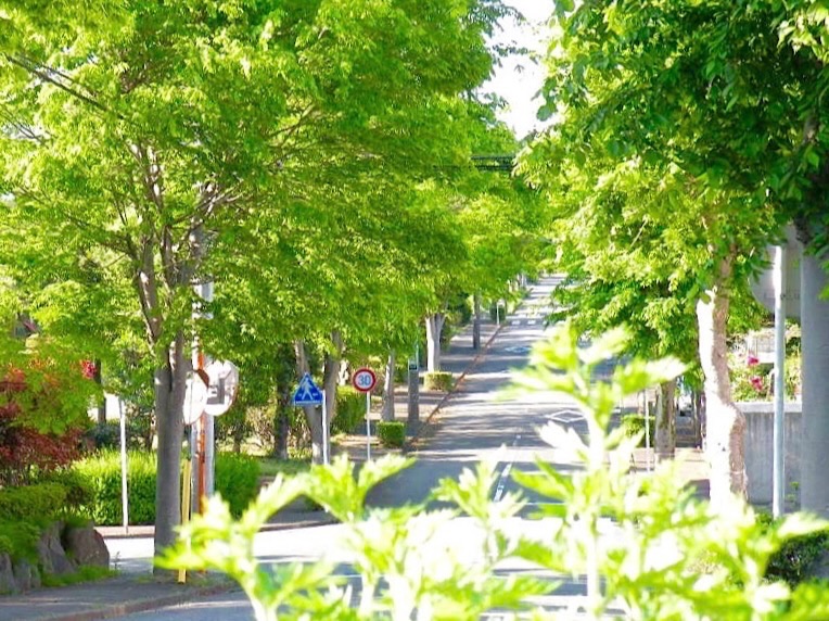 青木平 住宅地