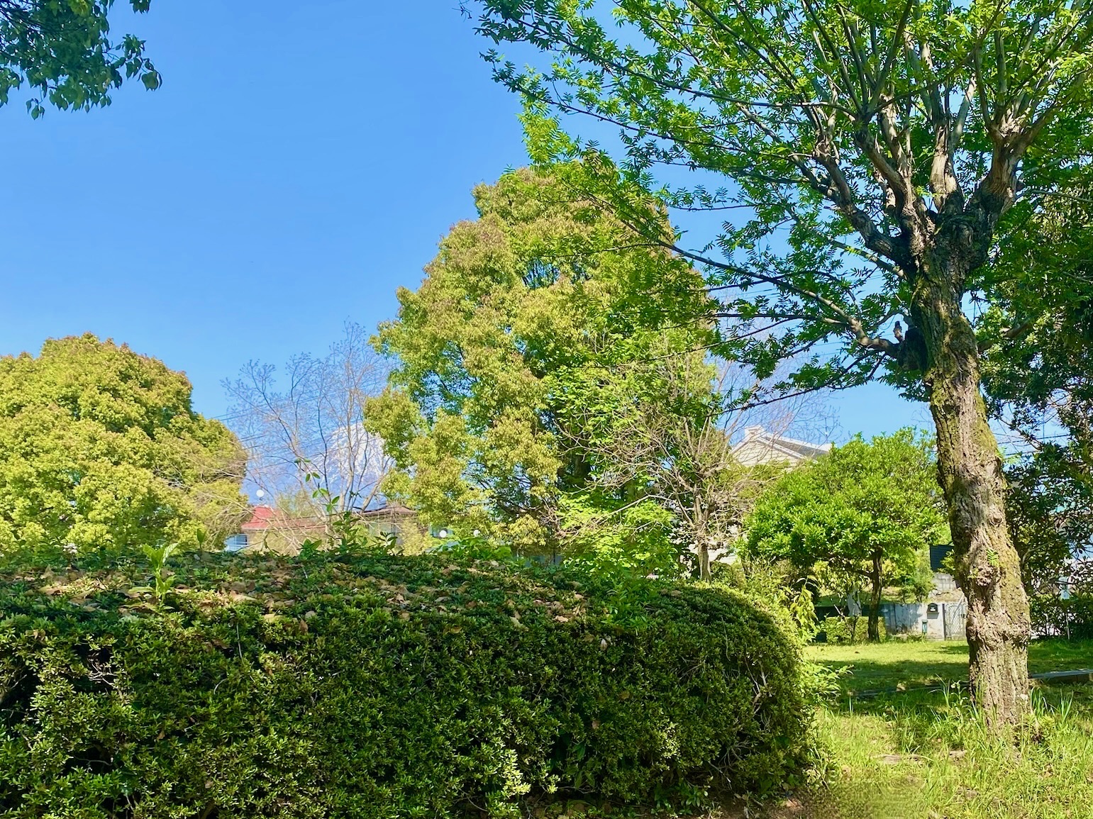 2025.4.27 定例総会の日 Image