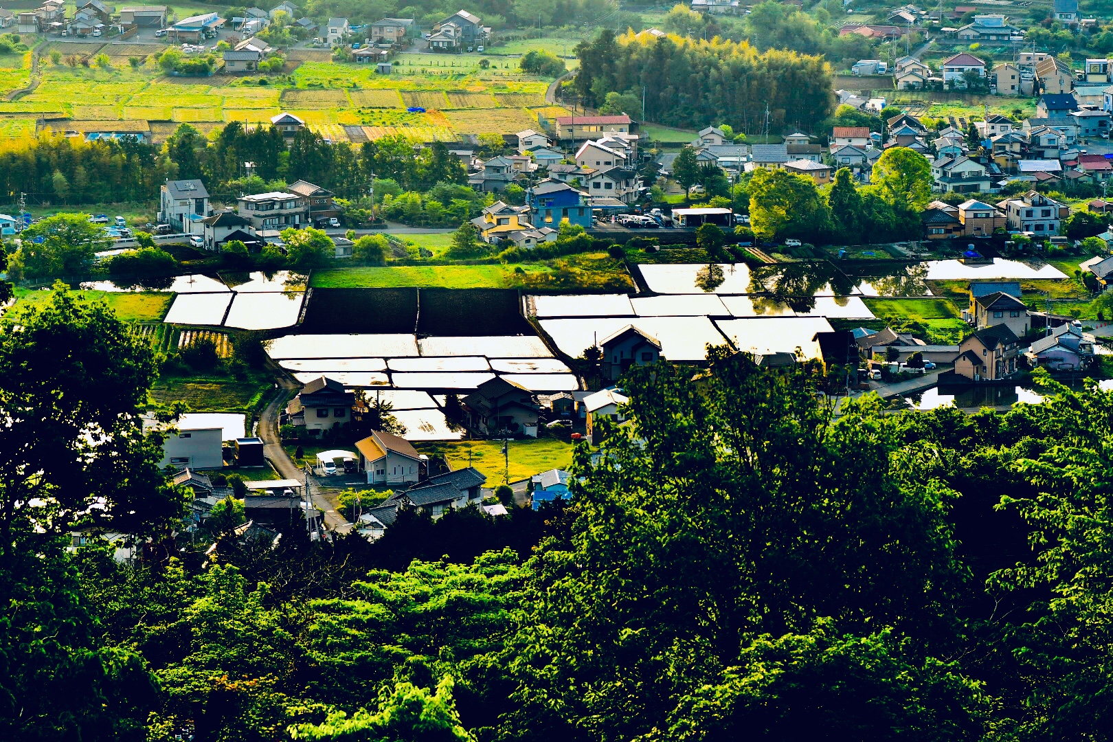 東側からの水張田んぼ Image